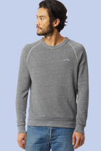 Load image into Gallery viewer, sustainable mens sweatshirt