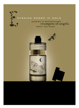 Load image into Gallery viewer, Evening Edged in Gold Eau de Parfum

